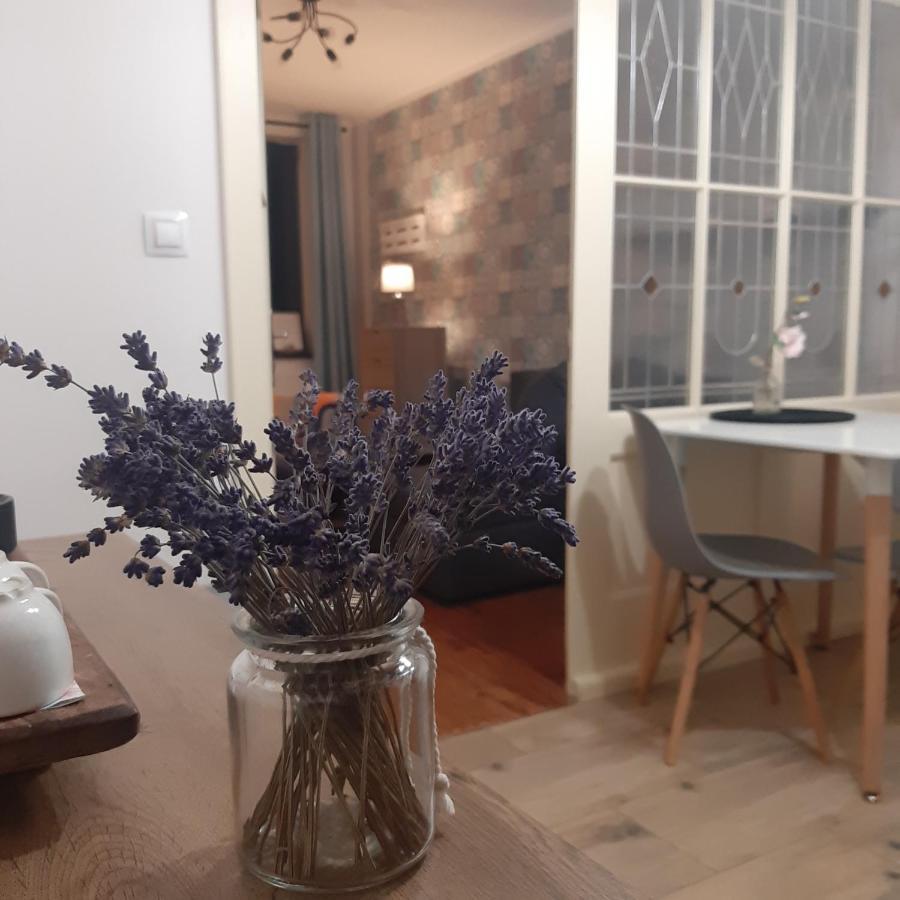 Apartman U Javoru Варнсдорф Экстерьер фото